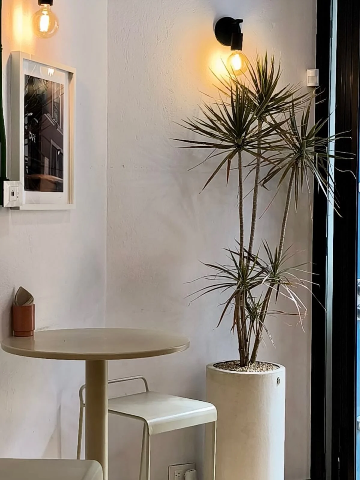 Mesa y plantas en el interior real de Café Cécile